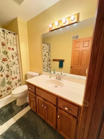 20687 212th Avenue NW Big Lake MN 55309