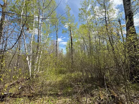 3854 Rasmussen Road Floodwood MN 55798