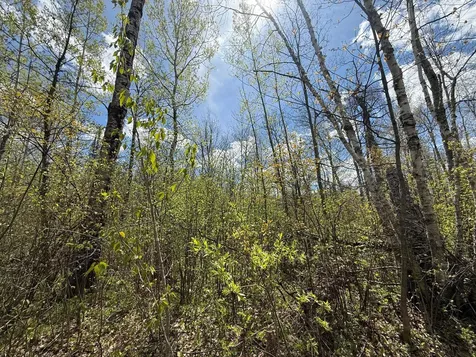 3854 Rasmussen Road Floodwood MN 55798