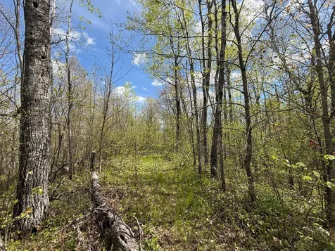 3854 Rasmussen Road Floodwood MN 55798