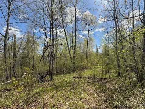 3854 Rasmussen Road Floodwood MN 55798