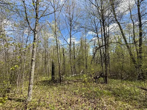 3854 Rasmussen Road Floodwood MN 55798