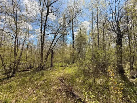 3854 Rasmussen Road Floodwood MN 55798