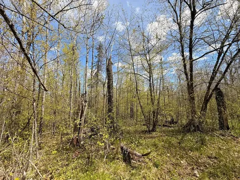 3854 Rasmussen Road Floodwood MN 55798
