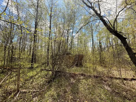 3854 Rasmussen Road Floodwood MN 55798