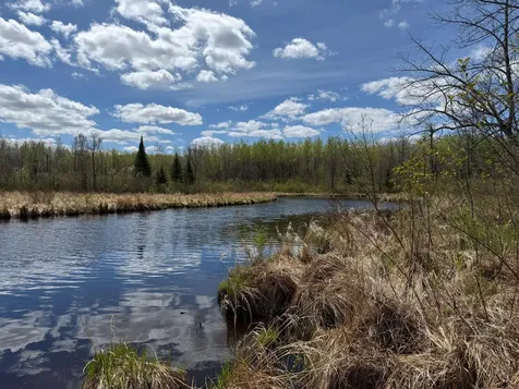 3854 Rasmussen Road Floodwood MN 55798