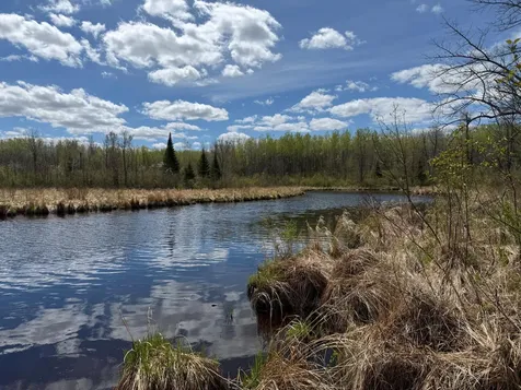 3854 Rasmussen Road Floodwood MN 55798