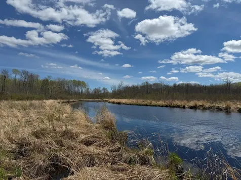 3854 Rasmussen Road Floodwood MN 55798