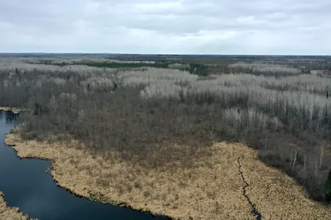 3854 Rasmussen Road Floodwood MN 55798