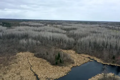 3854 Rasmussen Road Floodwood MN 55798