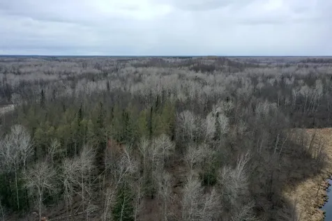 3854 Rasmussen Road Floodwood MN 55798