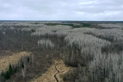 3854 Rasmussen Road Floodwood MN 55798