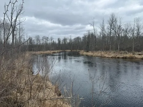 3854 Rasmussen Road Floodwood MN 55798