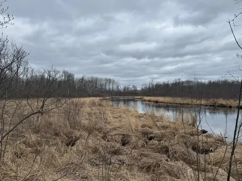 3854 Rasmussen Road Floodwood MN 55798