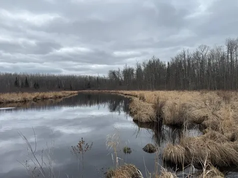 3854 Rasmussen Road Floodwood MN 55798