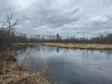 3854 Rasmussen Road Floodwood MN 55798