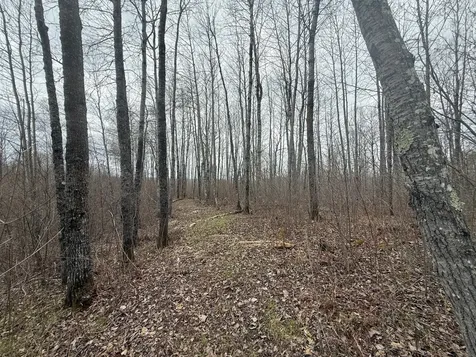 3854 Rasmussen Road Floodwood MN 55798