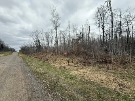 3854 Rasmussen Road Floodwood MN 55798