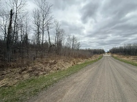 3854 Rasmussen Road Floodwood MN 55798