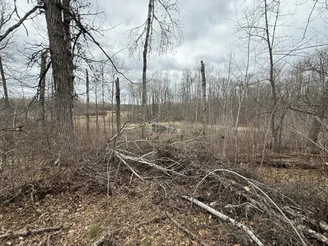 3854 Rasmussen Road Floodwood MN 55798