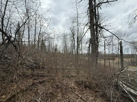 3854 Rasmussen Road Floodwood MN 55798