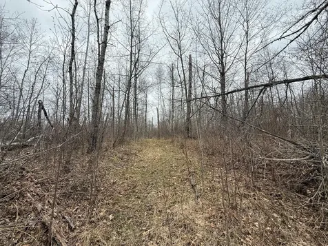 3854 Rasmussen Road Floodwood MN 55798