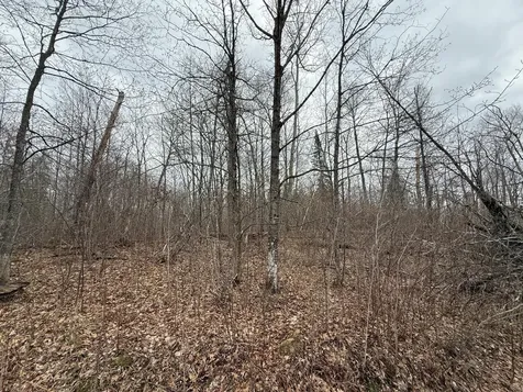 3854 Rasmussen Road Floodwood MN 55798