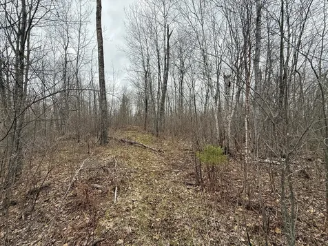 3854 Rasmussen Road Floodwood MN 55798