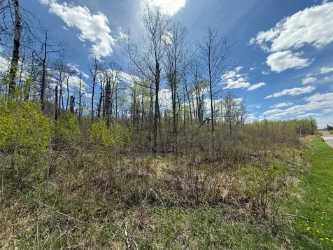 3854 Rasmussen Road Floodwood MN 55798