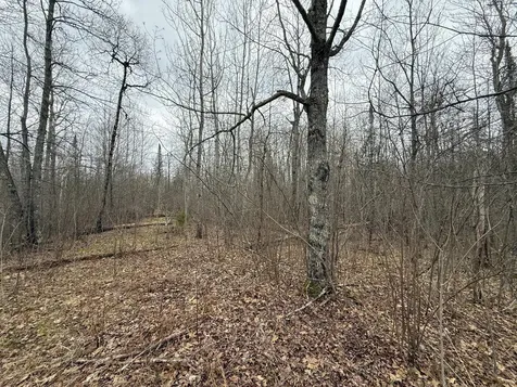 3854 Rasmussen Road Floodwood MN 55798