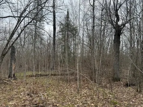 3854 Rasmussen Road Floodwood MN 55798