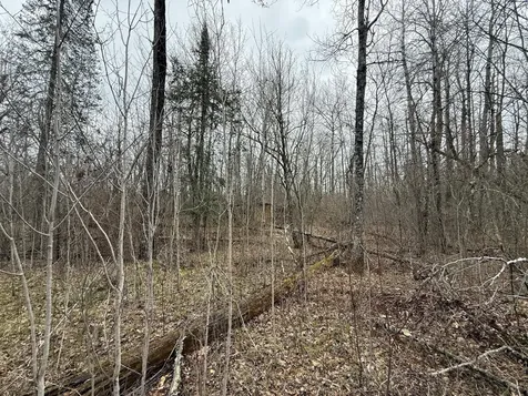 3854 Rasmussen Road Floodwood MN 55798