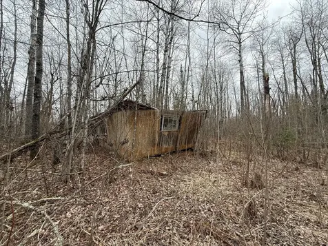 3854 Rasmussen Road Floodwood MN 55798