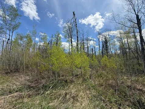 3854 Rasmussen Road Floodwood MN 55798