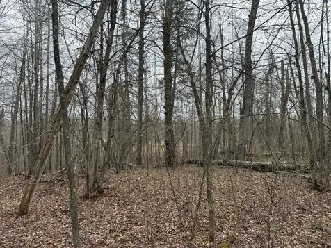 3854 Rasmussen Road Floodwood MN 55798