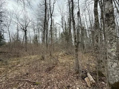 3854 Rasmussen Road Floodwood MN 55798