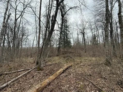 3854 Rasmussen Road Floodwood MN 55798