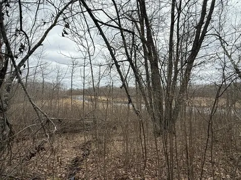 3854 Rasmussen Road Floodwood MN 55798