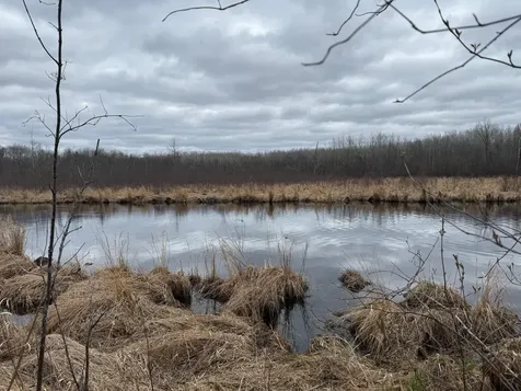 3854 Rasmussen Road Floodwood MN 55798