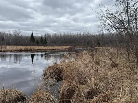 3854 Rasmussen Road Floodwood MN 55798