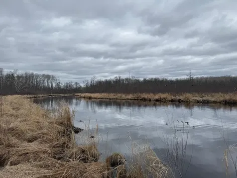 3854 Rasmussen Road Floodwood MN 55798