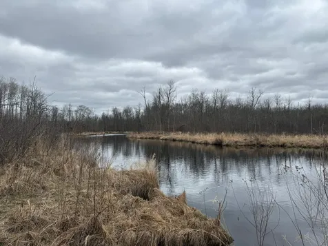 3854 Rasmussen Road Floodwood MN 55798