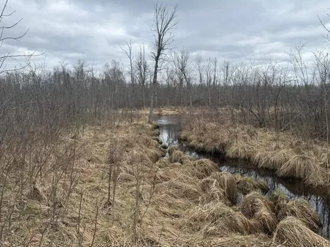 3854 Rasmussen Road Floodwood MN 55798