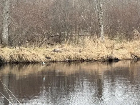 3854 Rasmussen Road Floodwood MN 55798