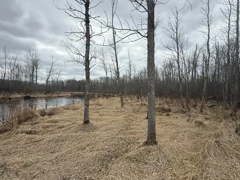 3854 Rasmussen Road Floodwood MN 55798