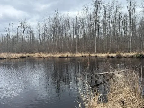 3854 Rasmussen Road Floodwood MN 55798