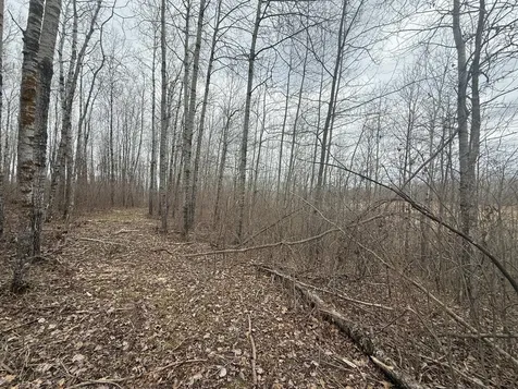 3854 Rasmussen Road Floodwood MN 55798