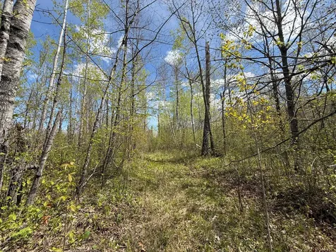 3854 Rasmussen Road Floodwood MN 55798