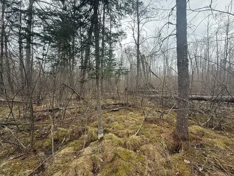 3854 Rasmussen Road Floodwood MN 55798