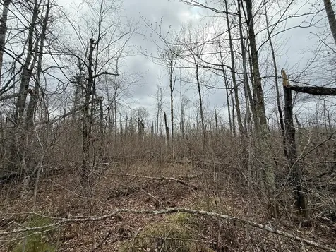 3854 Rasmussen Road Floodwood MN 55798